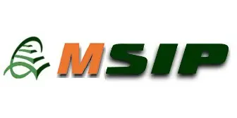 logo-msip